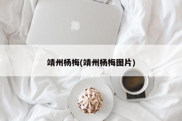 靖州杨梅(靖州杨梅图片)