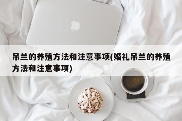 吊兰的养殖方法和注意事项(婚礼吊兰的养殖方法和注意事项)