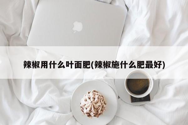 辣椒用什么叶面肥(辣椒施什么肥最好)