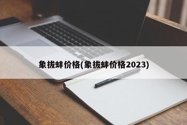 象拔蚌价格(象拔蚌价格2023)