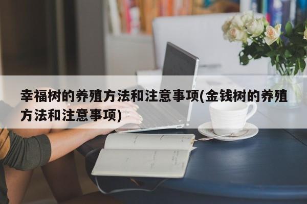 幸福树的养殖方法和注意事项(金钱树的养殖方法和注意事项)