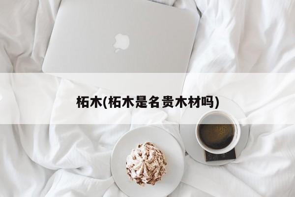 柘木(柘木是名贵木材吗)