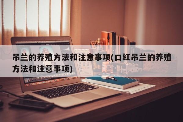 吊兰的养殖方法和注意事项(口红吊兰的养殖方法和注意事项)