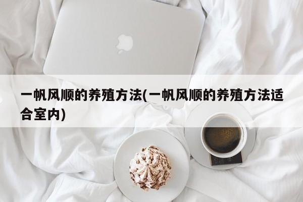 一帆风顺的养殖方法(一帆风顺的养殖方法适合室内)