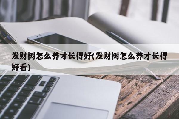 发财树怎么养才长得好(发财树怎么养才长得好看)