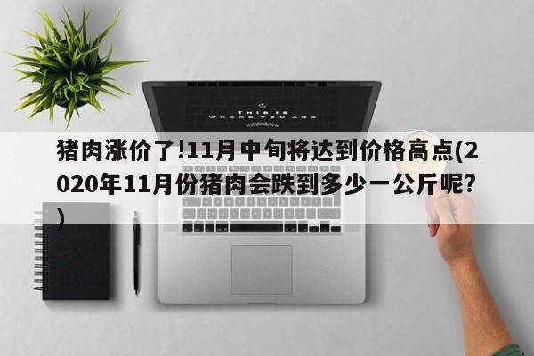 猪肉涨价了!11月中旬将达到价格高点(2020年11月份猪肉会跌到多少一公斤呢?)