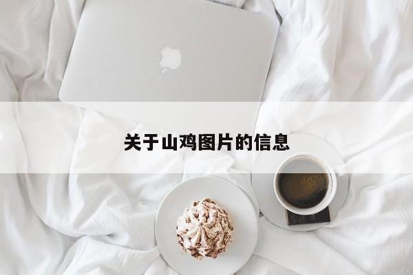 关于山鸡图片的信息