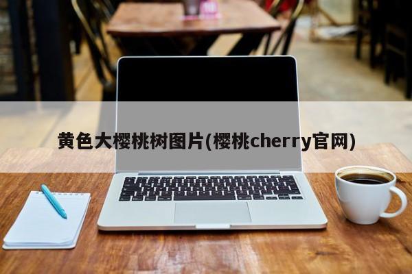 黄色大樱桃树图片(樱桃cherry官网)