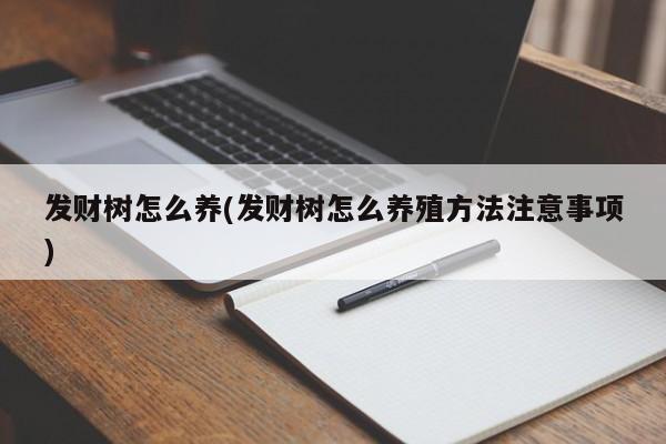 发财树怎么养(发财树怎么养殖方法注意事项)