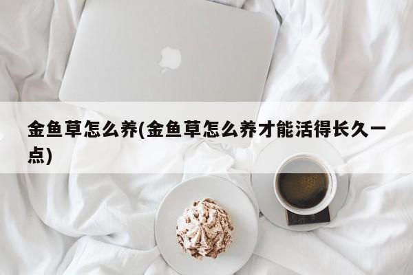 金鱼草怎么养(金鱼草怎么养才能活得长久一点)