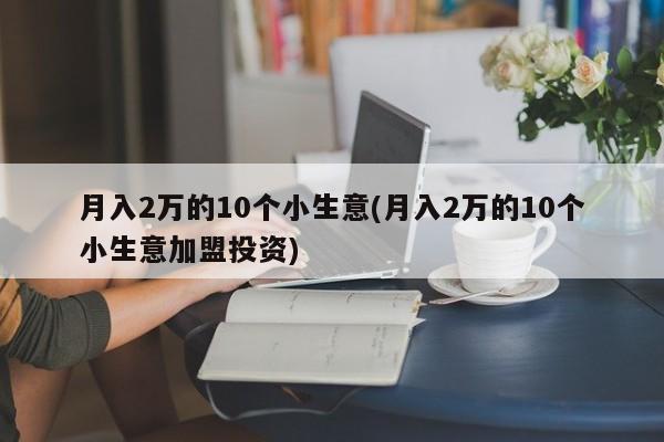 月入2万的10个小生意(月入2万的10个小生意加盟投资)