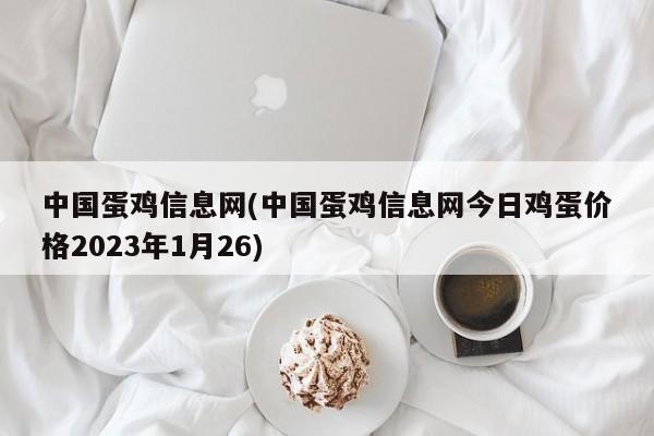 中国蛋鸡信息网(中国蛋鸡信息网今日鸡蛋价格2023年1月26)