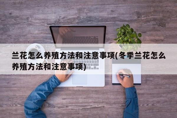 兰花怎么养殖方法和注意事项(冬季兰花怎么养殖方法和注意事项)