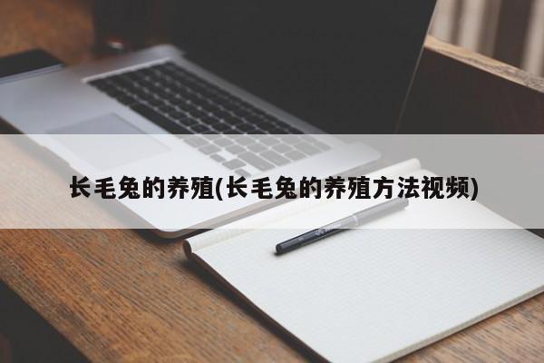 长毛兔的养殖(长毛兔的养殖方法视频)