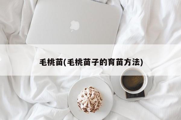 毛桃苗(毛桃苗子的育苗方法)