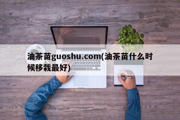 油茶苗guoshu.com(油茶苗什么时候移栽最好)