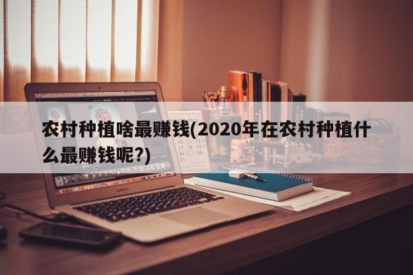 农村种植啥最赚钱(2020年在农村种植什么最赚钱呢?)