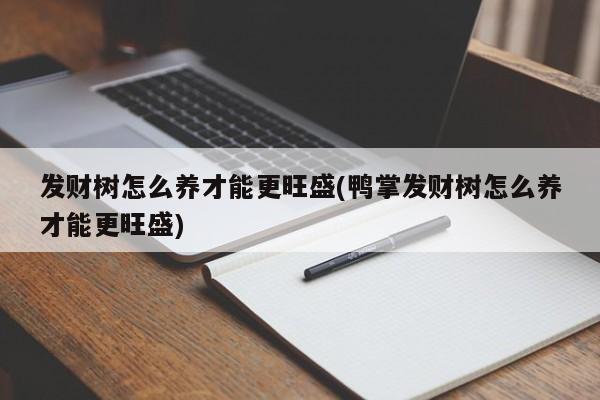 发财树怎么养才能更旺盛(鸭掌发财树怎么养才能更旺盛)