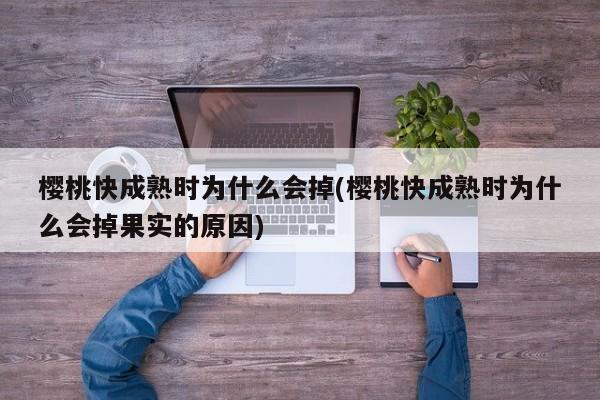 樱桃快成熟时为什么会掉(樱桃快成熟时为什么会掉果实的原因)