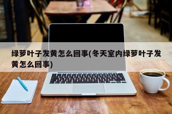 绿萝叶子发黄怎么回事(冬天室内绿萝叶子发黄怎么回事)