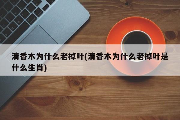 清香木为什么老掉叶(清香木为什么老掉叶是什么生肖)