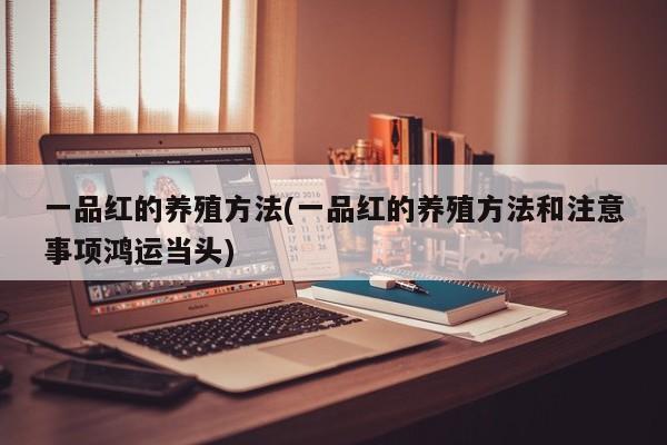 一品红的养殖方法(一品红的养殖方法和注意事项鸿运当头)