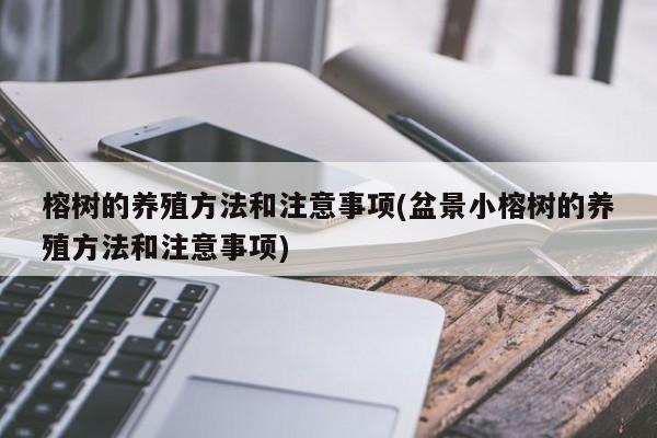 榕树的养殖方法和注意事项(盆景小榕树的养殖方法和注意事项)