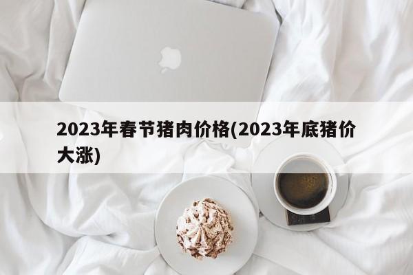 2023年春节猪肉价格(2023年底猪价大涨)